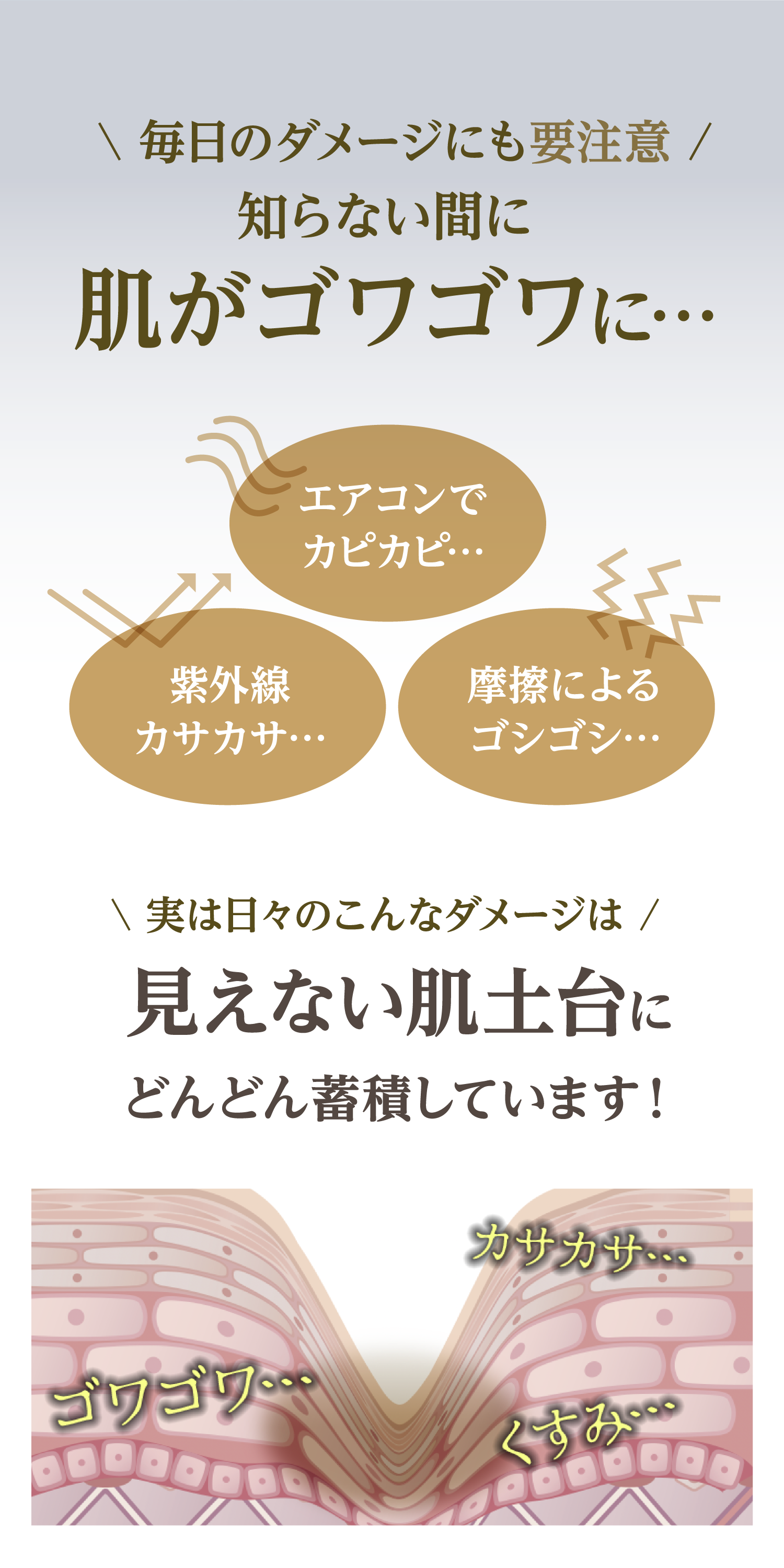 毎日のダメージにも要注意 知らない間に肌がゴワゴワに… エアコンでカピカピ… 紫外線カサカサ… 摩擦によるゴシゴシ… 実は日々のこんなダメージは見えない肌土台にどんどん蓄積しています！ カサカサ ゴワゴワ くすみ