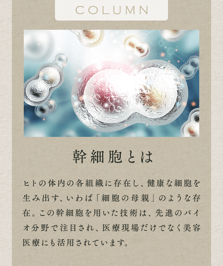 幹細胞とは