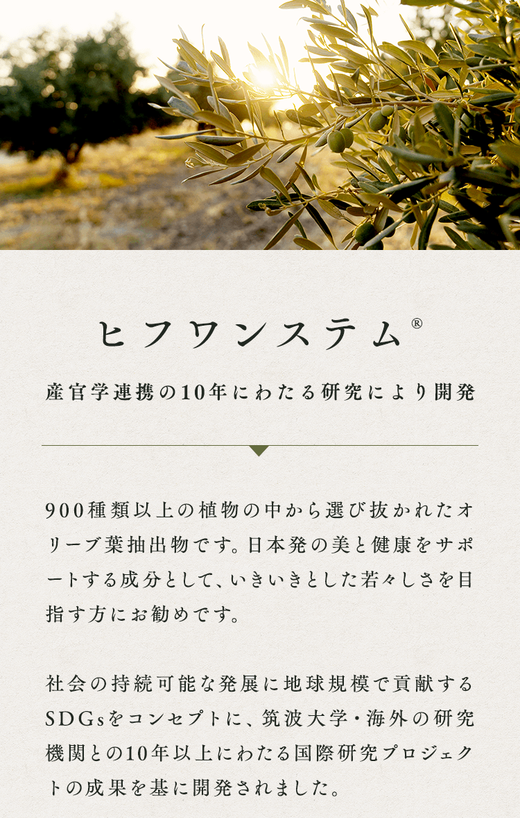 ヒフワンステム