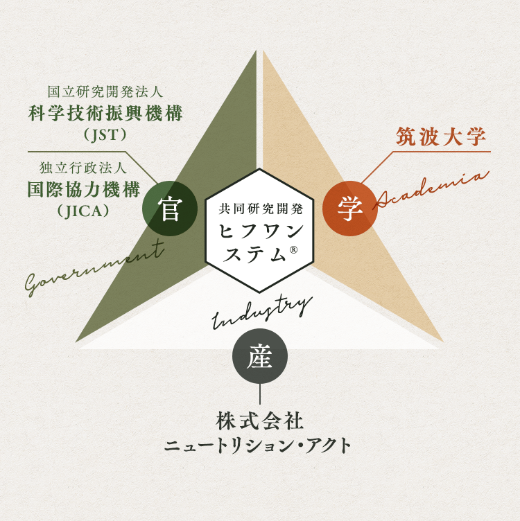 共同開発研究 ヒフワンステム