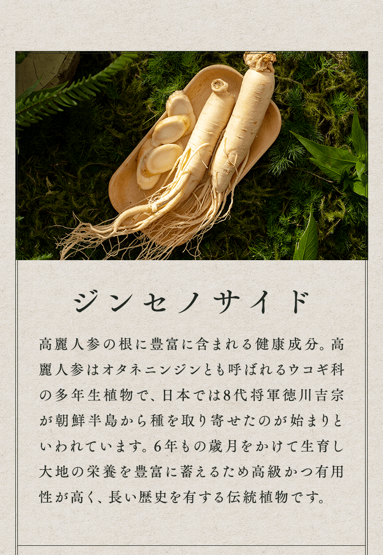 ジンセノサイド