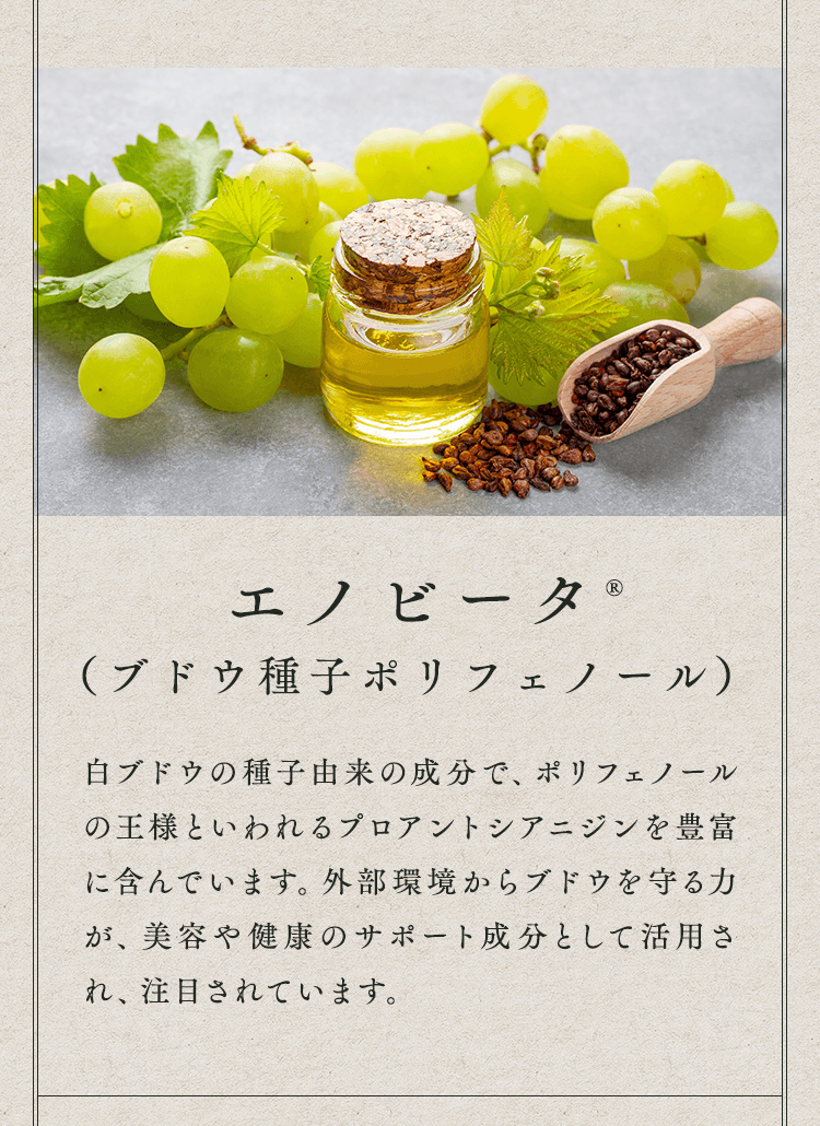 エノビータ