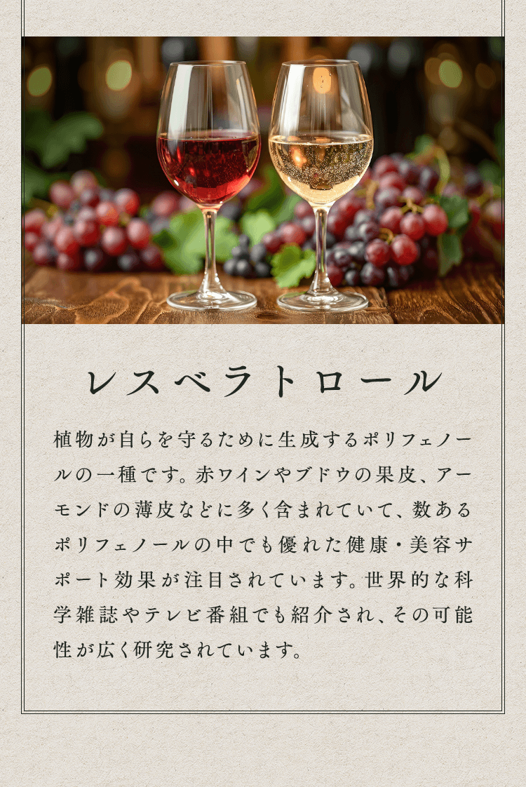 レスベラトロール
