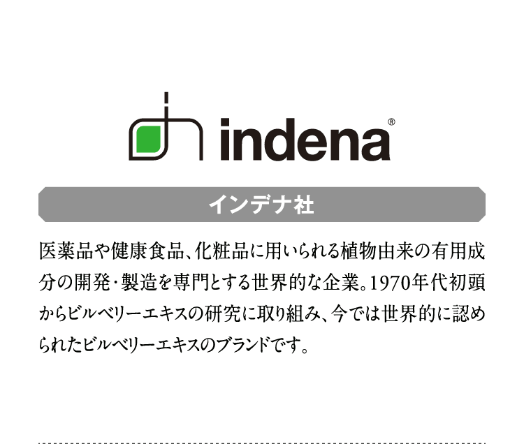 インデナ社