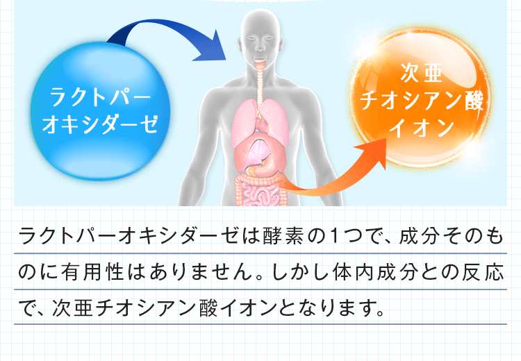 しかし体内成分との反応で、次亜チオシアン酸イオンとなります。